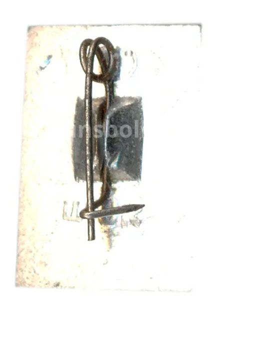 Значок Сыктывкар