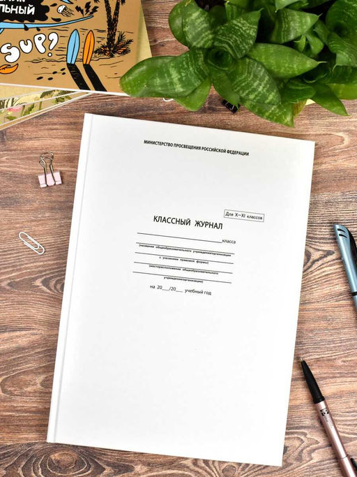 Классный журнал 10-11 класс арт. 5193