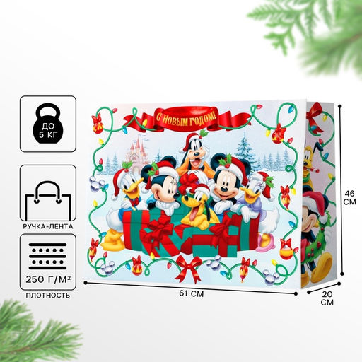 Пакет ламинированный С Новым Годом, 61 ? 46 ? 20 см