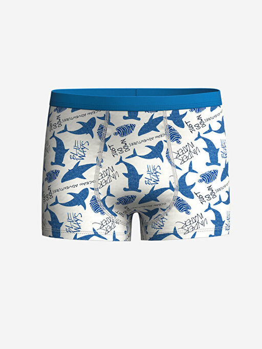 Bask?l? Erkek ?ocuk Boxer 3l? - Waikiki фото 2