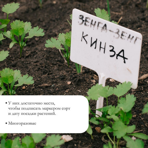 Цена за 2 шт. Таблички садовые, для маркировки растений, 12 см, набор 20 шт., пластик, белые, Greengo