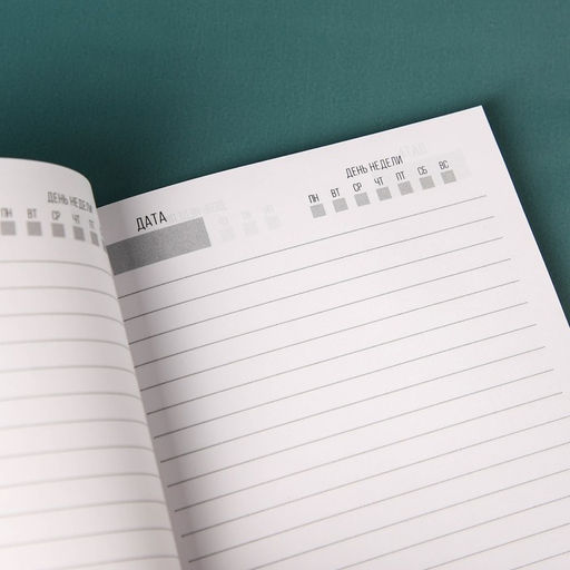 Набор Весь мир в твоих руках, чай чёрный со вкусом чабреца 50 г., печенье с предсказанием 48 г., ежедневник - Simaland фото 6