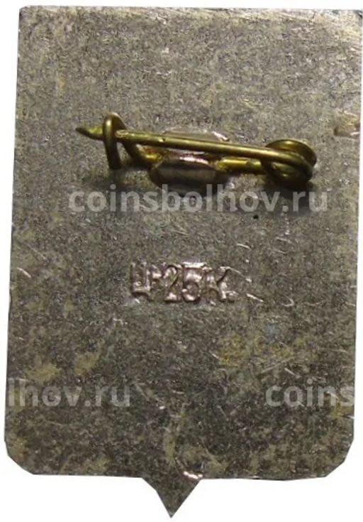 Значок Боровичи