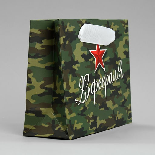 Цена за 3 шт. Пакет подарочный ламинированный, упаковка, С 23 февраля, S 15?12?5.5 см