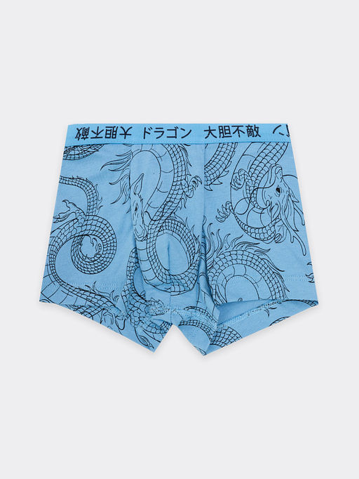 Трусы для мальчиков боксеры мультипак (2 шт.) в пыльно-зеленом цвете с драконами - Mark formelle фото 4