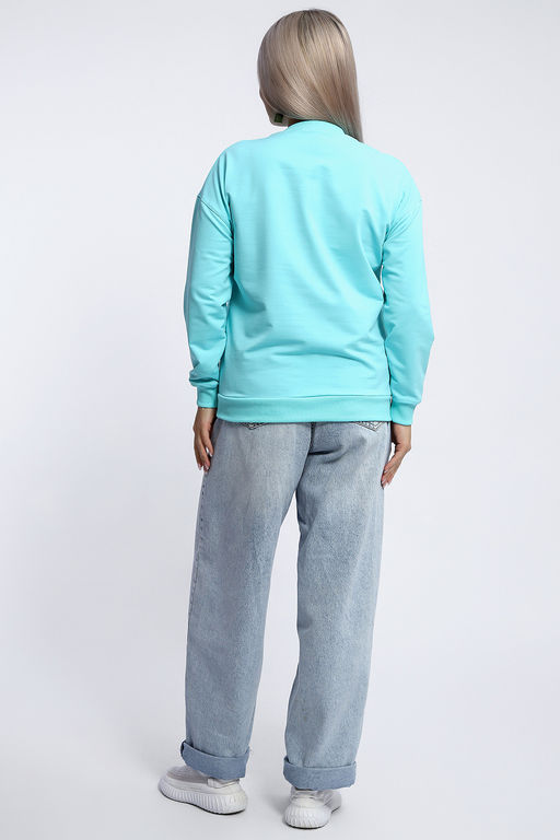 Толстовка 80047