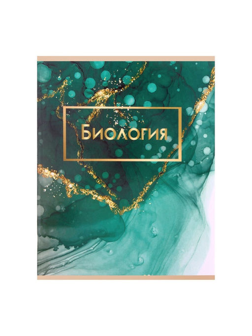 Набор предметных тетрадей Calligrata «Мрамор светлый», 10 предметов, 48 листов, со справочным материалом, обложка из мелованного картона, УФ-лак, б�...