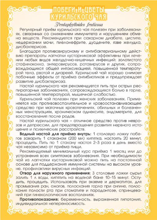 2 шт. Курильский чай (побеги и цветы) - Мариславна фото 2