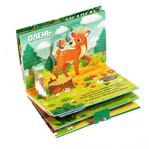 Книжка - панорамка 3D «Кто прячется в лесу?», 12 стр.