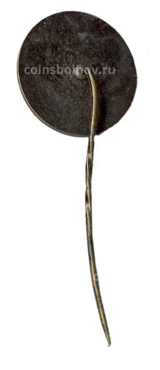 Значок Таллин