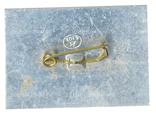 Значок Коломенское