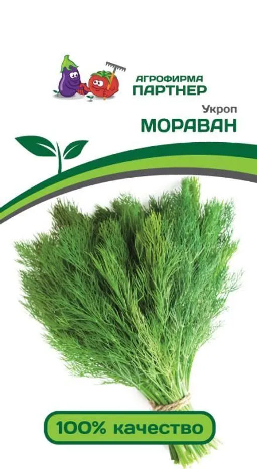 Укроп Мораван