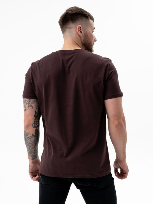 Футболка муж.арт.361-21, коричневый - Binita фото 4