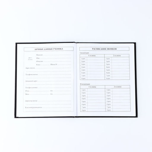 Дневник школьный для 1-11 класса, в твердой обложке, 40 л. «Знаний у меня не отнять»