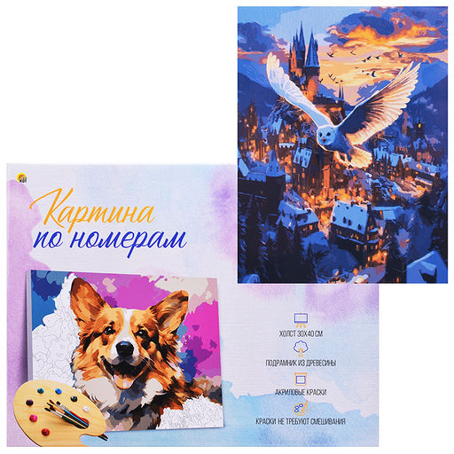 Холст с красками 30x40 по номерам "Сова над зимним городом" в коробке (30цв.)