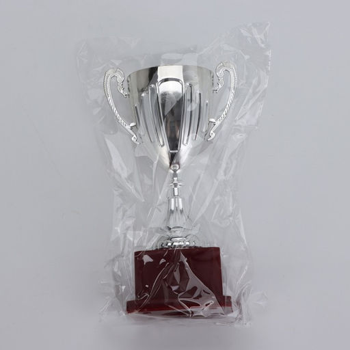 Кубок 045, наградная фигура, серебро, подставка пластик, 20 см