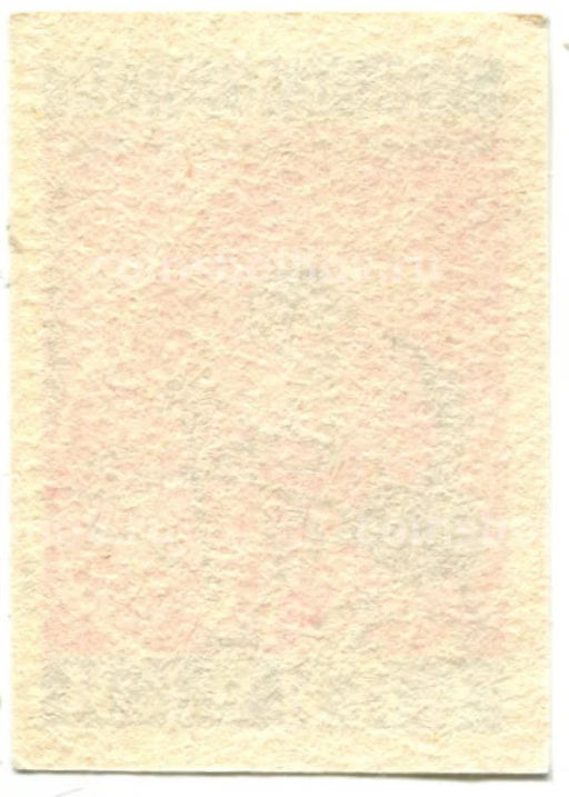 Этикетка спичечная Родословная спички № 4 фабрика Красная звезда