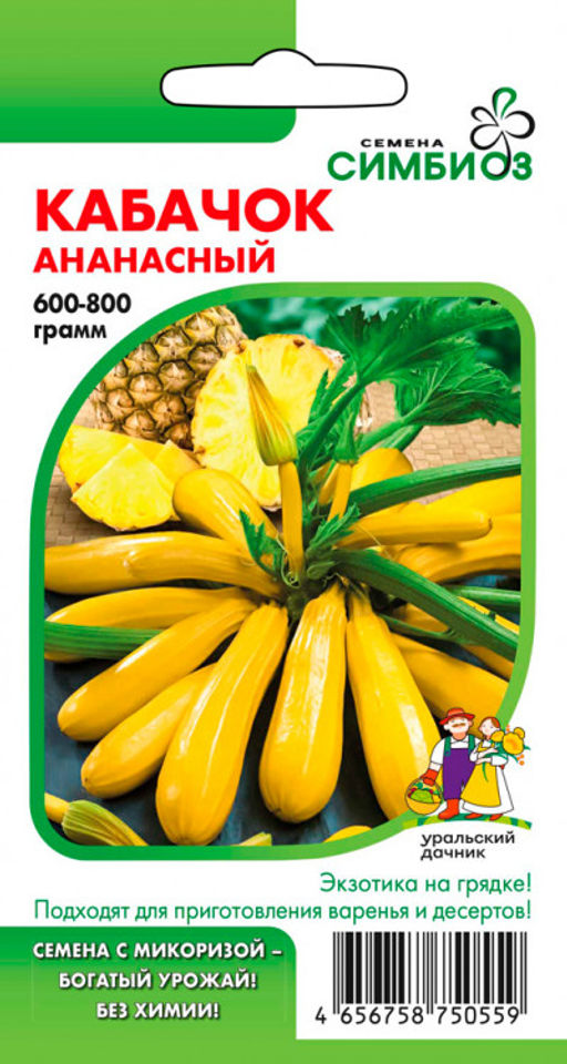 Кабачок АНАНАСНЫЙ  Экзотика на грядке! Подходят для приготовления варенья и десертов! - Уральский дачник фото 5