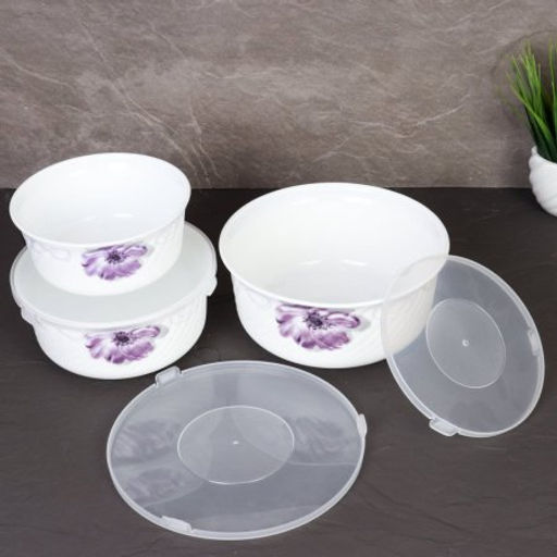 Салатник с крышкой 3 предмета / O3020/3-61008/S /уп 12/ АКЦИЯ - Галеонтрейд фото 3