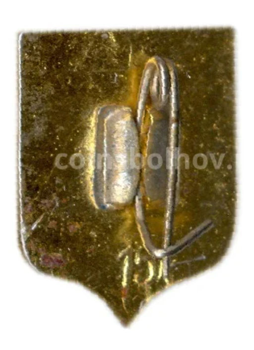 Значок Нальчик