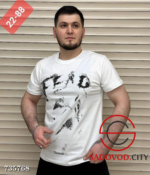 Мужская футболка с принтом