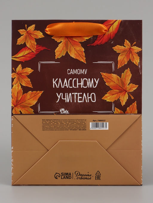 Цена за 2 шт. Пакет подарочный ламинированный, упаковка, «Классному учителю», MS 18×23×10 см