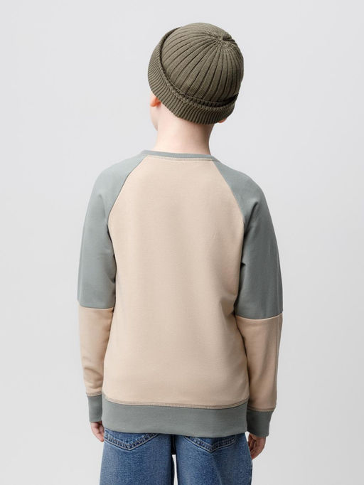 КР 302161-1/темно-бежевый джемпер (свитшот) для мал