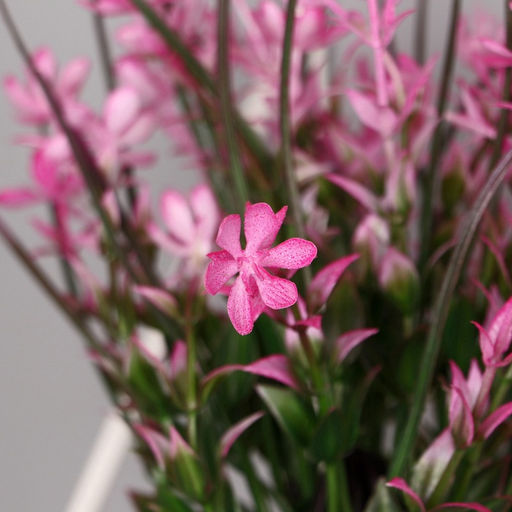 Искусственный цветок в горшке «Цветник с осокой» 9×23 см, МИКС