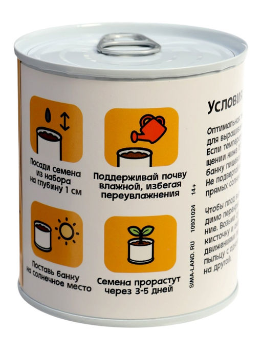 ЭВРИКИ Набор для опытов "Мой мини-сад", подсолнух