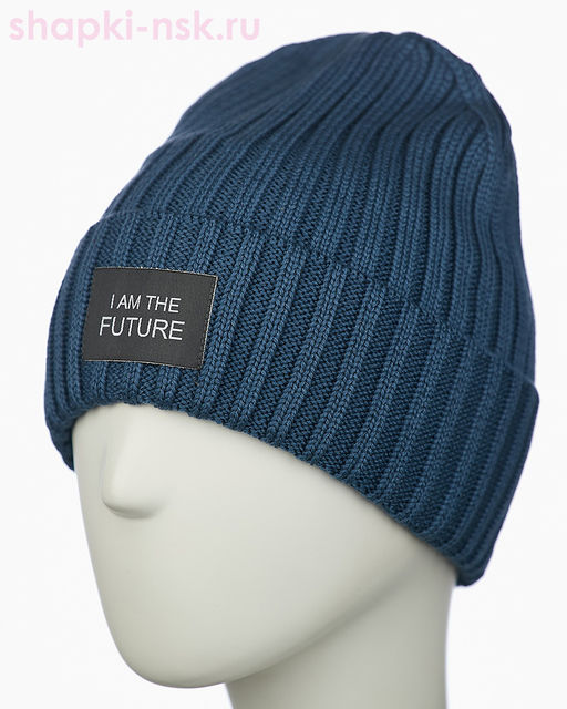 017 1S/1 IF SHM Дарвел Колпак мужской (58-60)