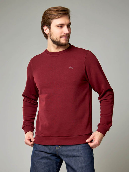 Толстовка мужская арт. 05198 - F5 фото 3