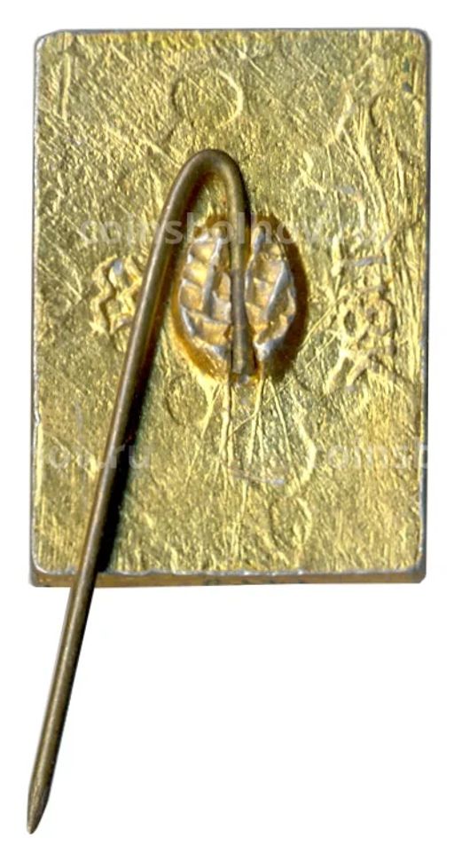 Значок Кисловодск