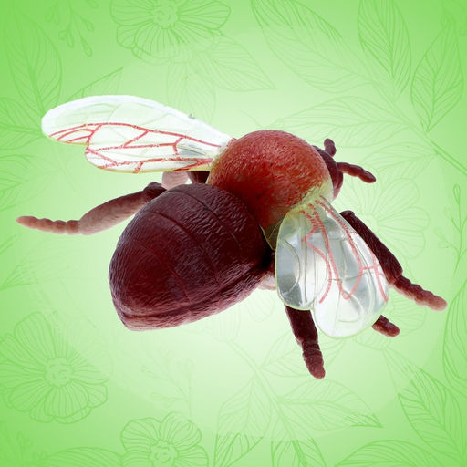 Набор насекомых «Лесные», 5 штук