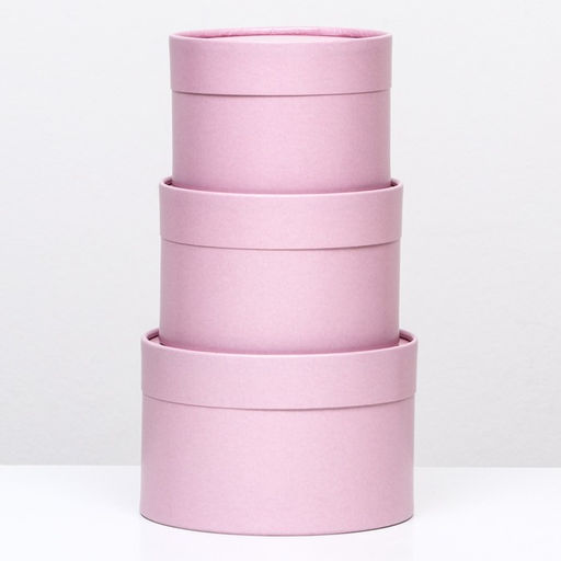 Набор шляпных коробок 3 в 1,Пыльная роза,16 х 10,14 х 9,13 х 8,5 см - UPAK LAND фото 3