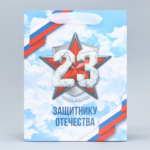 Цена за 2 шт. Пакет подарочный ламинированный, упаковка, С 23 февраля, MS 18?23?10 см