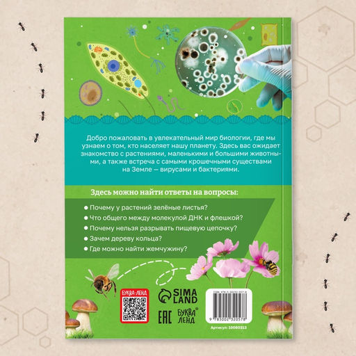 Энциклопедия в мягком переплёте «Биология для детей», 68 стр.