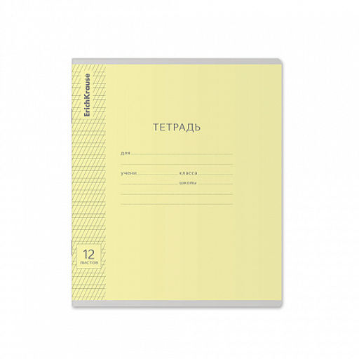 Цена за 280 шт. Тетрадь школьная ученическая ErichKrause Классика Visio ассорти, 12 листов, частая косая линейка (в плёнке по 10 шт.) фото 49