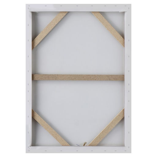 Картина - холст на подрамнике «Секрет», 50×70 см