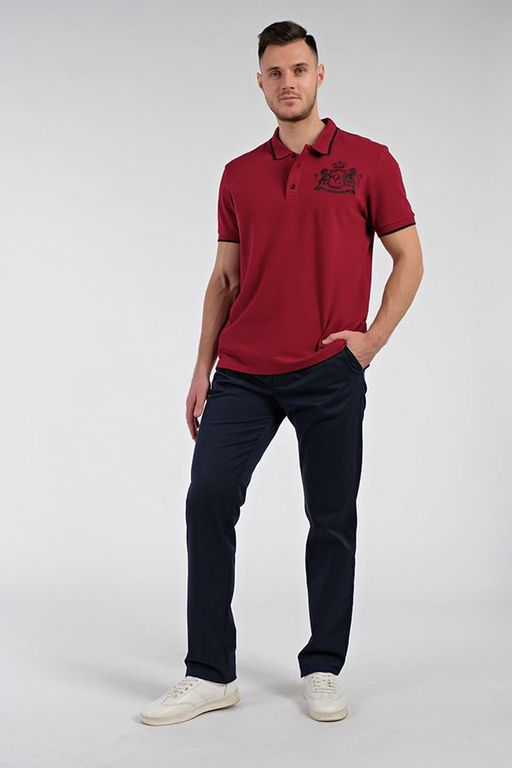 Мужские брюки Артикул 02-190