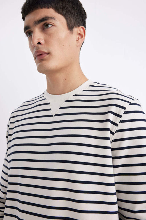 Толстовка в полоску Modern Fit с круглым вырезом - Defacto фото 4