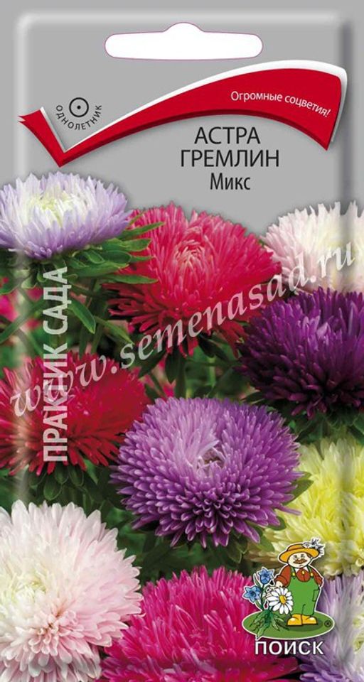 Астра (однолетняя) гремлин Микс (ЦВ) (1) 0,3гр.