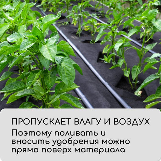 Материал мульчирующий, 10×1.6 м, плотность 60 г/м², спанбонд с УФ-стабилизатором, четыре ряда перфорации, чёрный, Greengo, Эконом 30%