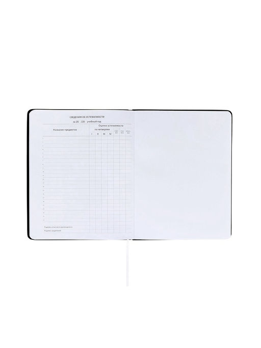 Дневник школьный 1-11 класс, deVENTE. Realistic, искусственная кожа, шелкография