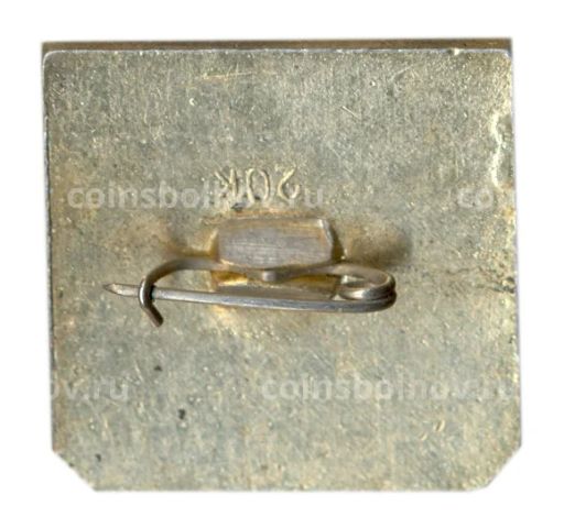 Значок Владимир