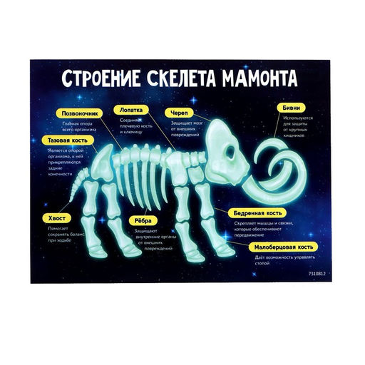 Набор для опытов «Ледниковая эпоха», скелет мамонта