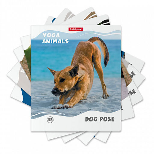 Цена за 5 шт. Тетрадь общая ученическая ErichKrause Yoga Style, 48 листов, клетка, матовая ламинация_MIX-PACK