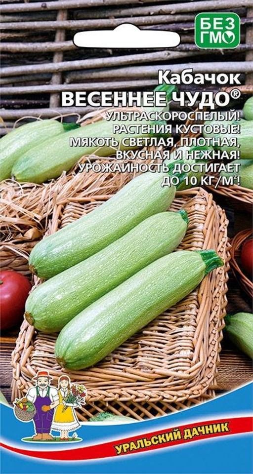 Кабачок ВЕСЕННЕЕ ЧУДО Ультраскороспелый! Кустовой! Мякоть светлая, плотная, вкусная и нежная! Урожайность до 10 кг/кв.м!