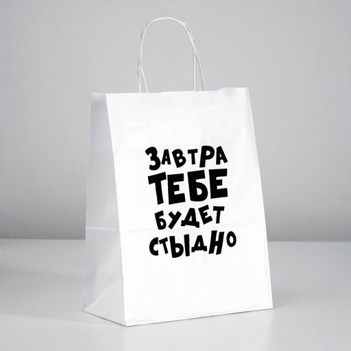 Цена за 10 шт. Пакет подарочный Завтра тебе будет стыдно, 24 х 10,5 х 32 см - UPAK LAND фото 2