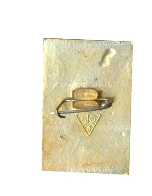 Значок Владимир