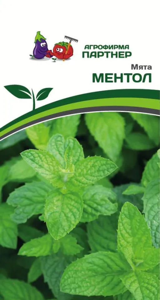 Мята Ментол